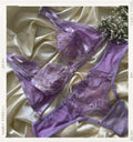 Lavanda Encantada