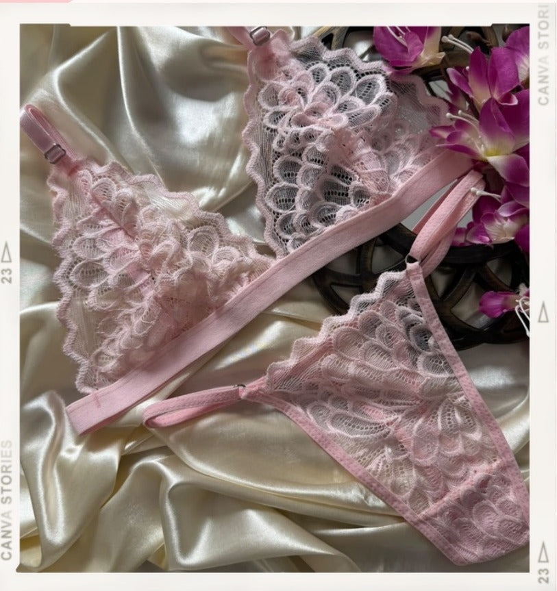 Plumas de Rosa